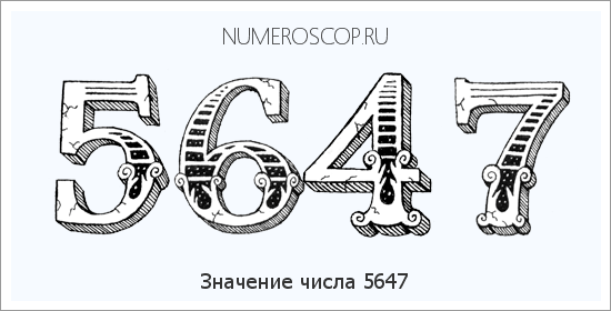 Расшифровка значения числа 5647 по цифрам в нумерологии
