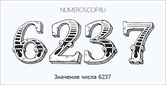 Расшифровка значения числа 6237 по цифрам в нумерологии