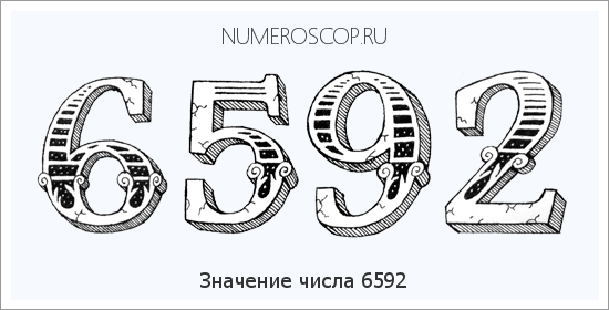 Расшифровка значения числа 6592 по цифрам в нумерологии