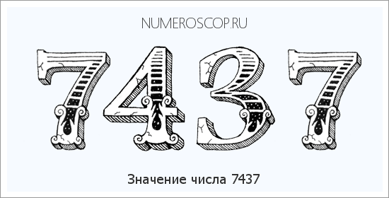 Расшифровка значения числа 7437 по цифрам в нумерологии