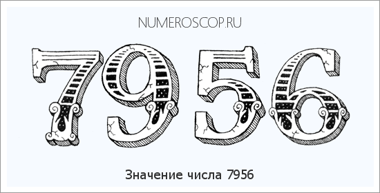 Расшифровка значения числа 7956 по цифрам в нумерологии