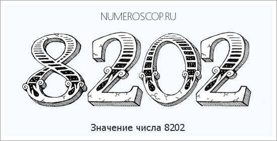 Расшифровка значения числа 8202 по цифрам в нумерологии