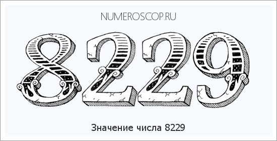 Расшифровка значения числа 8229 по цифрам в нумерологии