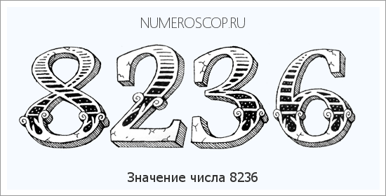 Расшифровка значения числа 8236 по цифрам в нумерологии