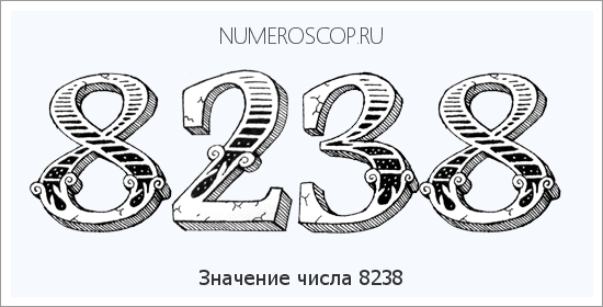 Расшифровка значения числа 8238 по цифрам в нумерологии