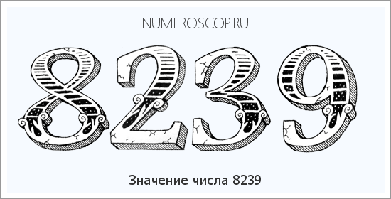 Расшифровка значения числа 8239 по цифрам в нумерологии