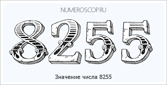 Расшифровка значения числа 8255 по цифрам в нумерологии
