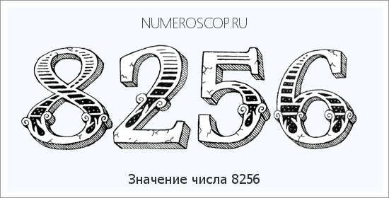 Расшифровка значения числа 8256 по цифрам в нумерологии
