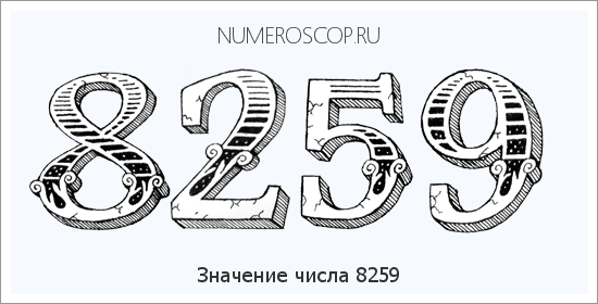 Расшифровка значения числа 8259 по цифрам в нумерологии