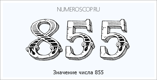 Расшифровка значения числа 855 по цифрам в нумерологии