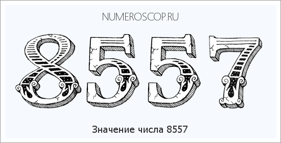 Расшифровка значения числа 8557 по цифрам в нумерологии