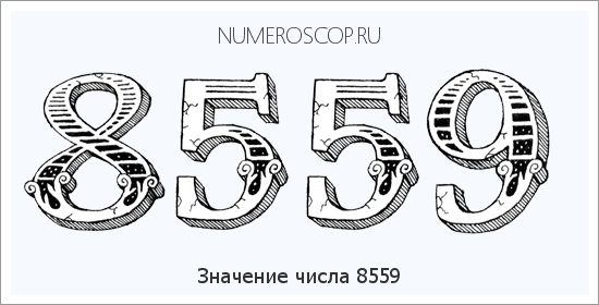 Расшифровка значения числа 8559 по цифрам в нумерологии