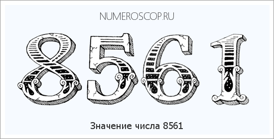 Расшифровка значения числа 8561 по цифрам в нумерологии