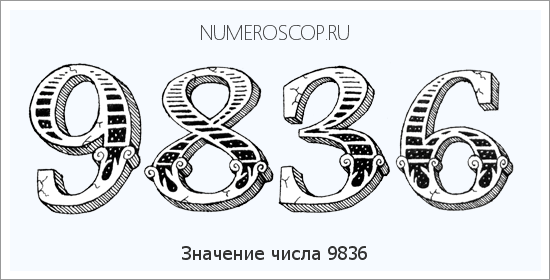 Расшифровка значения числа 9836 по цифрам в нумерологии